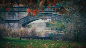 The Meadows, Stamford